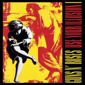 Use Your Illusion