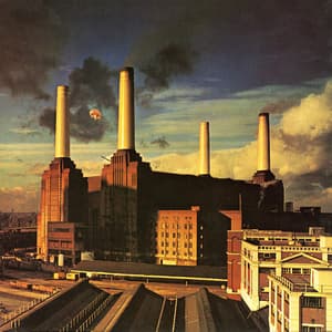 Animals
